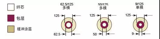 single mode & multi-mode fiber diameters.png single mode & multi-mode fiber diameters.png