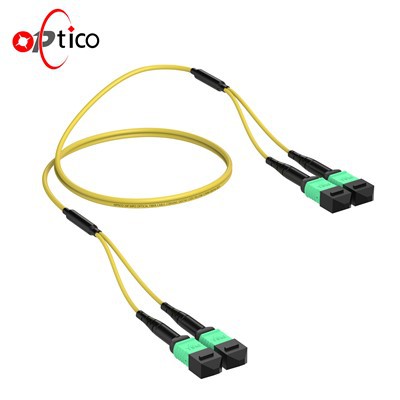 24F MPO Trunk Cable OS2 Man 2 × 12